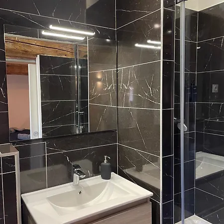 Le Croco Apartment Montbrison