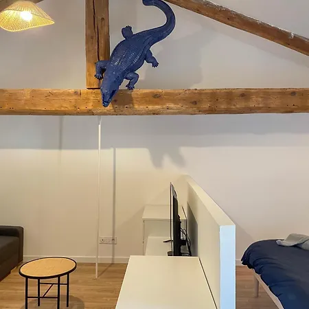 Le Croco Apartment *